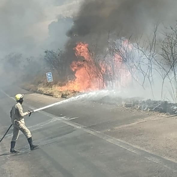 Equipes do Corpo de Bombeiros combateram um incêndio às margens da BR-153, em Ceres, município da região Central de Goiás. (Foto: divulgação/Corpo de Bombeiros)