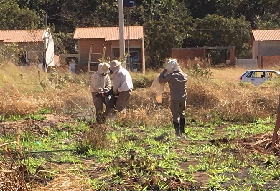 Idoso cai em cisterna ao tentar fugir de abelhas em Goinésia