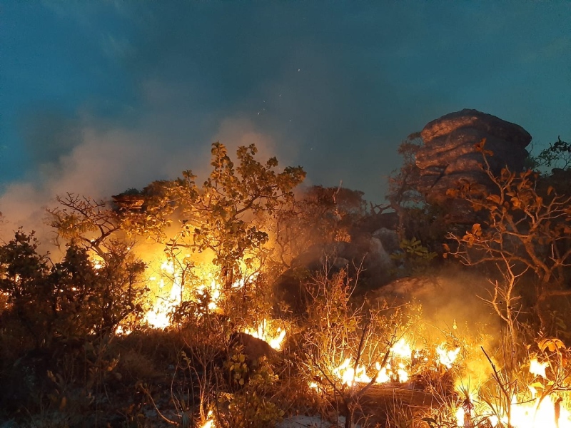 Após quase uma semana, o incêndio no Parque Serra Dourada foi controlado. (Foto: divulgação/Corpo de Bombeiros)