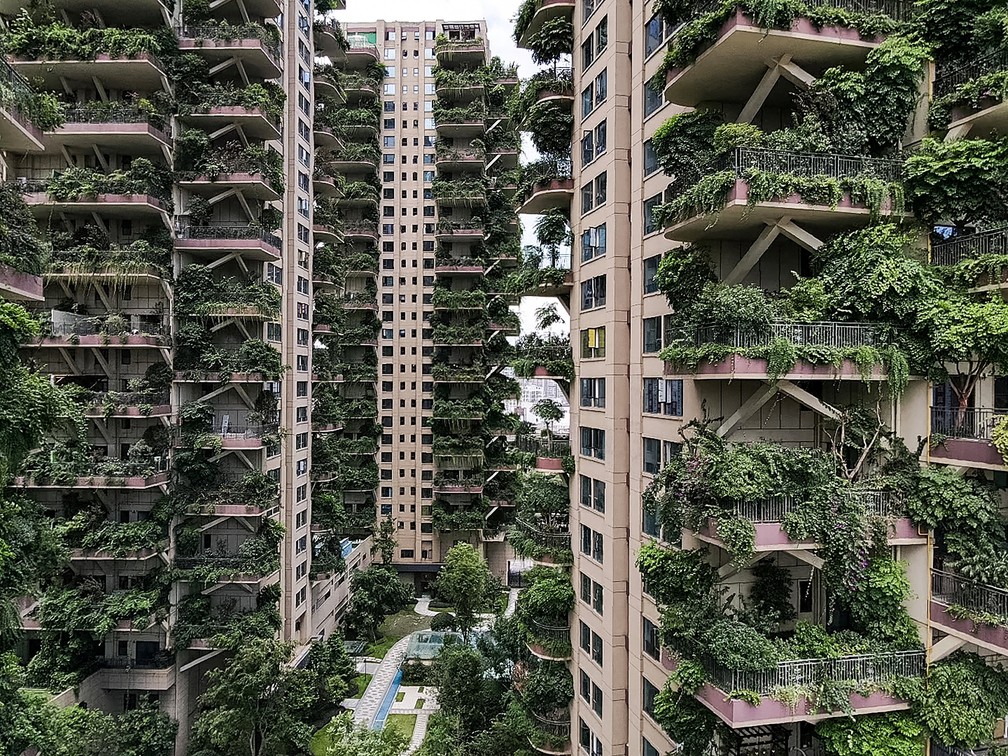 Plantas 'invadem' prédios na China e moradores abandonam imóveis- vegetação