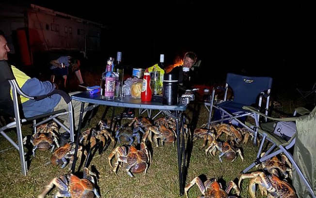 Caranguejos gigantes invadem churrasco de família na Austrália; vídeo