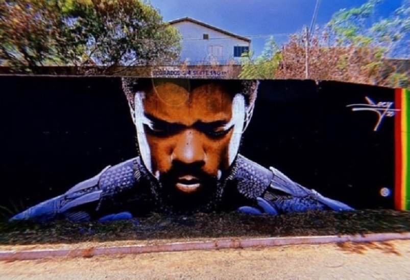 Artista goiano pinta mural de 'Pantera Negra' na Marginal Botafogo