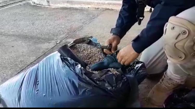 Polícia apreende arma que estava dentro de saco de feijão
