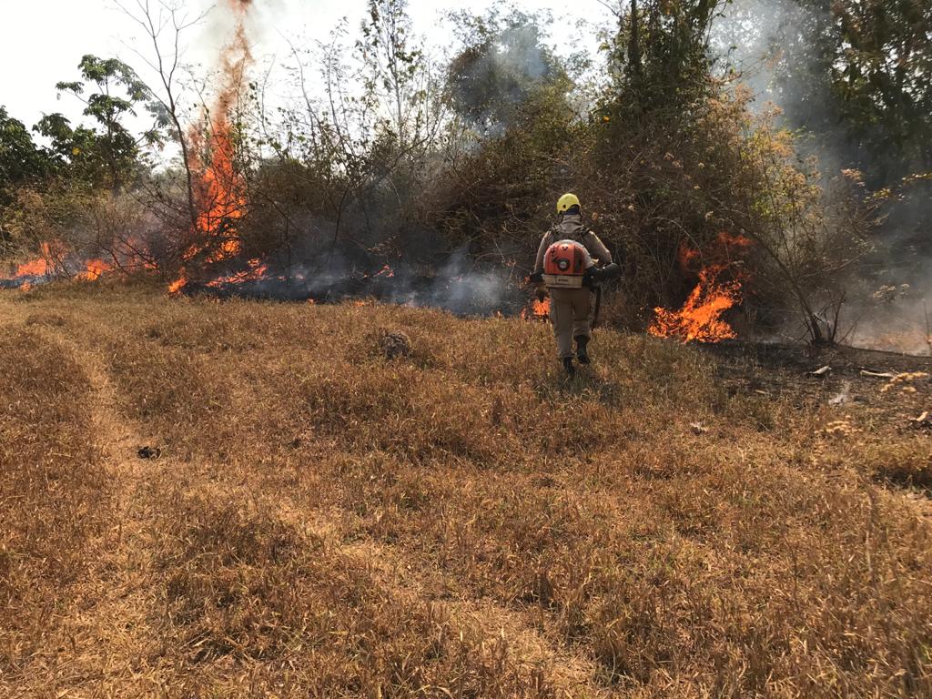 Bombeiros combatem incêndio em em área de preservação