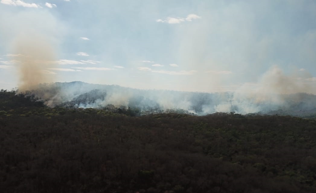 Incêndio no Parque Altamiro de Moura Pacheco já consumiu 56 hectares