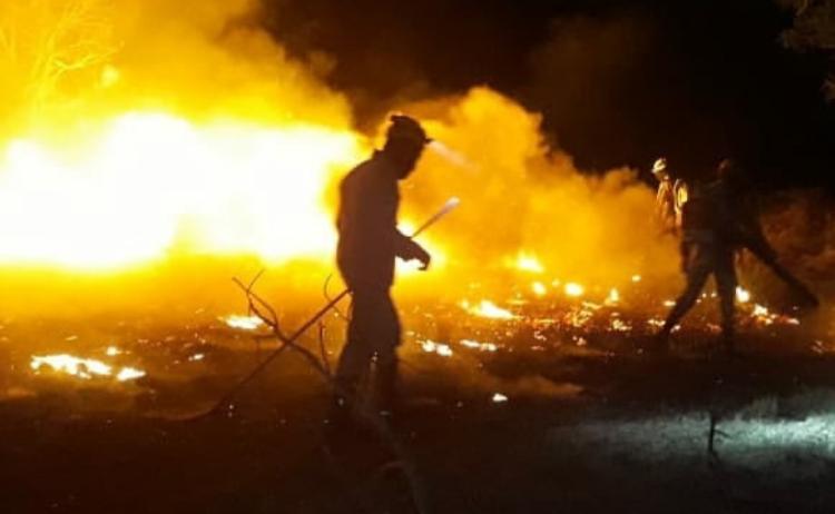 Em Brazabrantes, bombeiros combatem incêndio em área de proteção ambiental