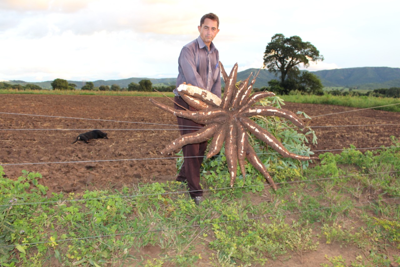 Goiás fomenta agricultura familiar com cerveja de mandioca