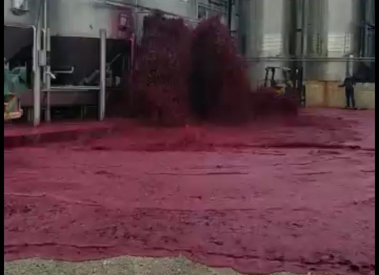 Tanque de vinho explode e derrama 50 mil litros da bebida; vídeo