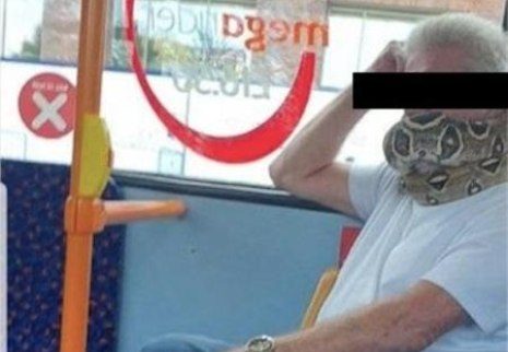 Homem usa cobra como máscara em ônibus na Inglaterra