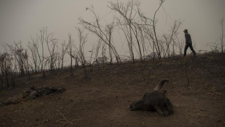 Pantanal registra mais de 900% de aumento nos focos de queimadas em 2024