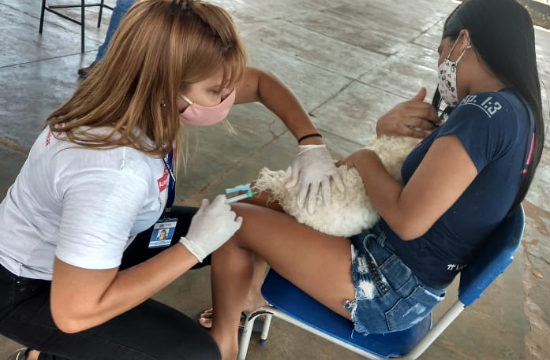 Registro da campanha antirrábica que acontece em Goiânia (Foto: Secretaria Municipal de Saúde)