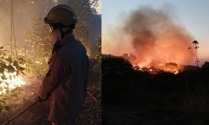Bombeiros controlam fogo em vegetação no distrito de Girassol