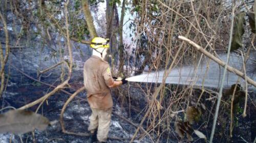 Polícia interroga suspeito de causar incêndio em vegetação de Rio Verde