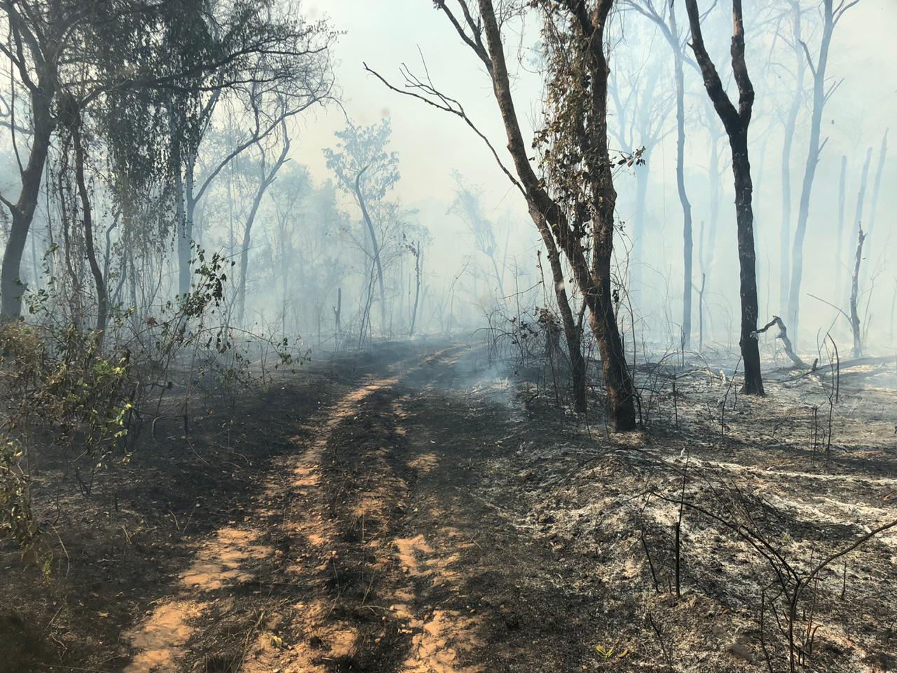 A chuva é a mais nova aliada no combate a incêndios na Chapada dos Veadeiros e na Área de Proteção Ambiental Pouso Alto, em Goiás. (Foto: Divulgação Corpo de Bombeiros)