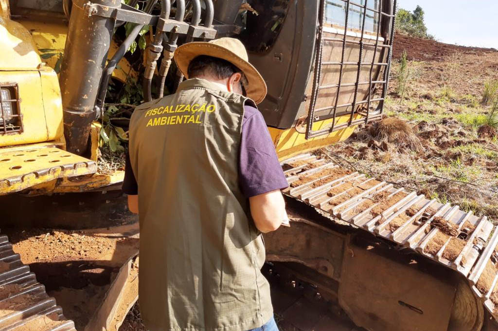 Operação Mata Atlântica em Pé aplica R$ 530 mil em multas em Goiás