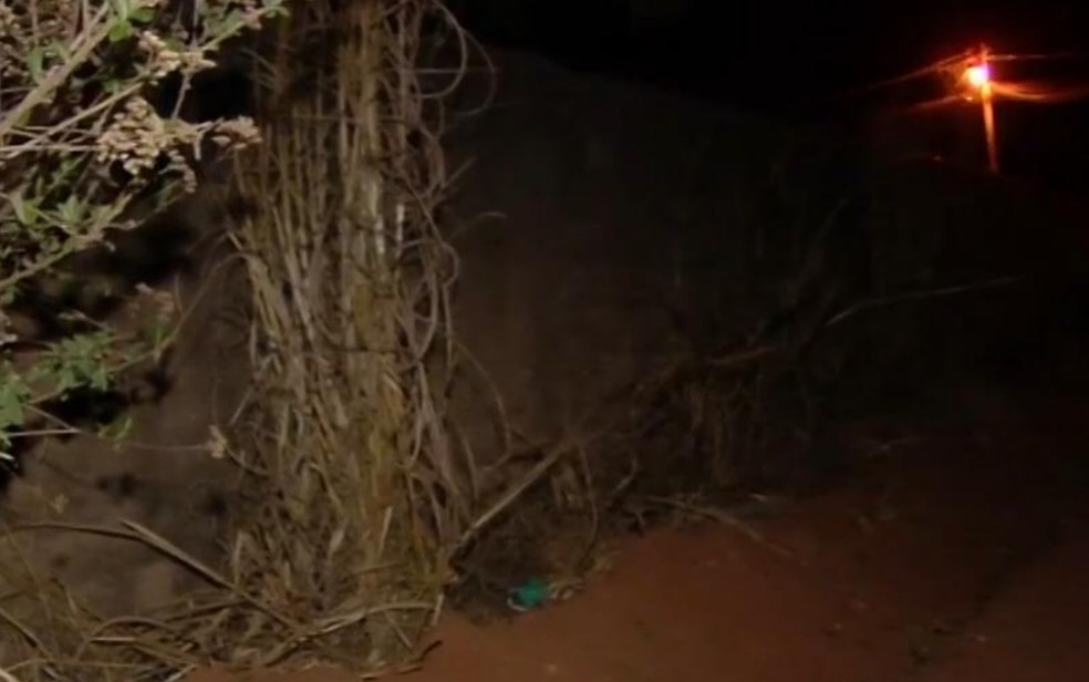 Em Aparecida de Goiânia, moradores encontram corpo de bebê em lote baldio