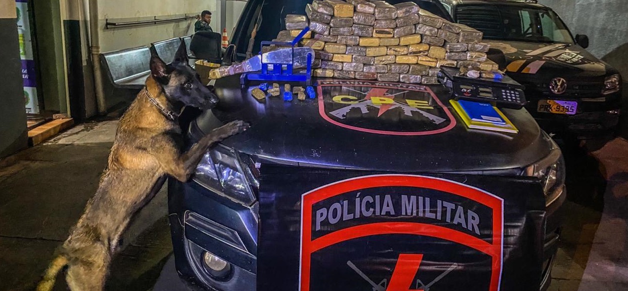 Um casal que usava táxi para tráfico de drogas foi preso com 90kg de maconha, em Rio Verde, na noite de quinta-feira (29). (Foto: divulgação/PM)