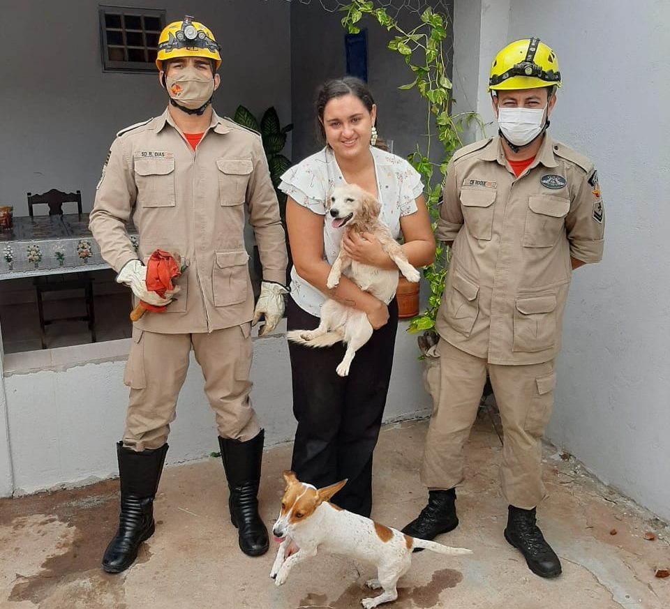 Bombeiros resgatam cão preso à parede, em casa de Itaberaí