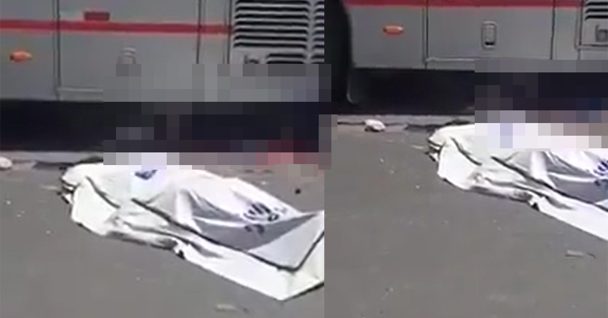 Homem morre esmagado por ônibus e moradora de rua come o cérebro dele; vídeo