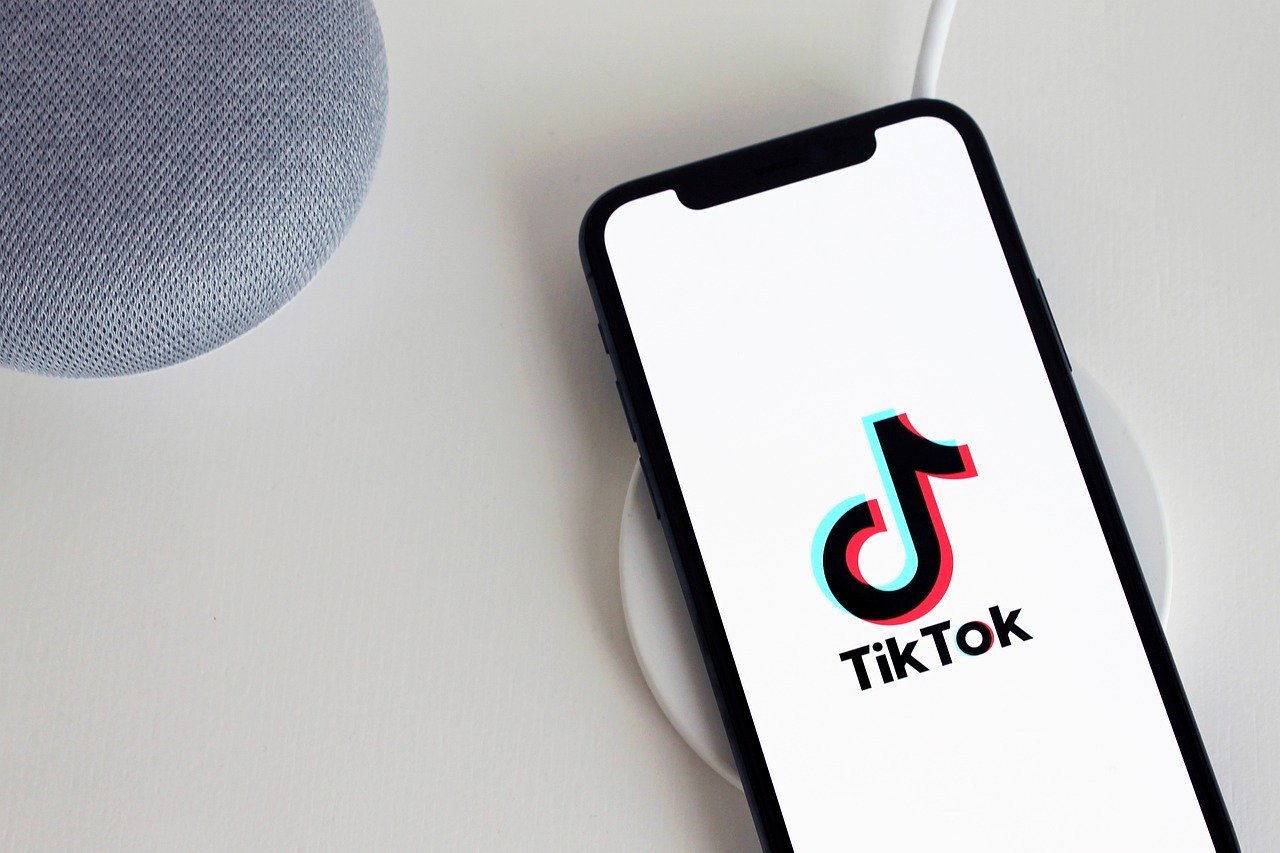 TikTok (Foto: reprodução/internet)