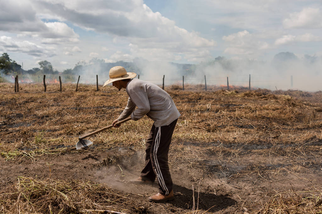 Agricultores usam fogo para ajudar a limpar o terreno do novo plantio de feijão no cerrado brasileiro, na Bahia (Foto: Avener Prado / Folhapress)