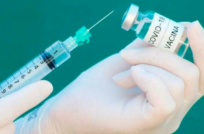 Vacina para covid-19 (Foto: Divulgação)