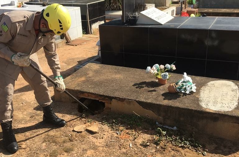 Bombeiros resgatam cachorro em buraco de túmulo no cemitério de Ipameri