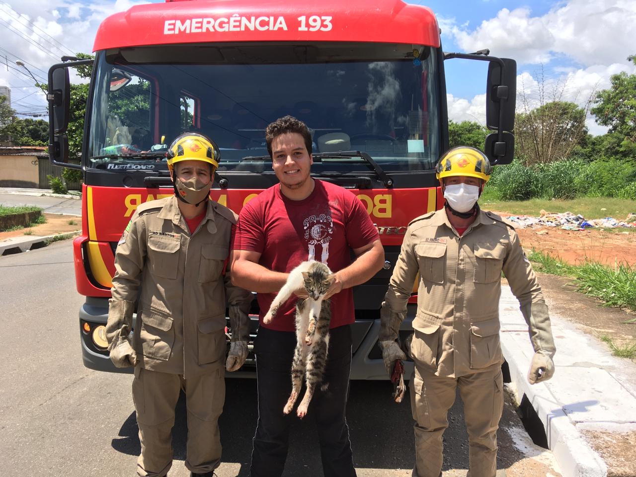Bombeiros resgatam gato preso à concertina em Goiânia