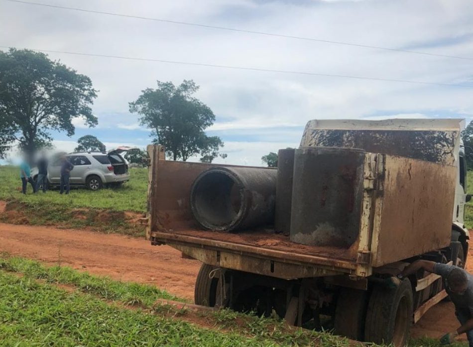 Em Anápolis, bombeiros resgatam cavalo preso em mata-burro