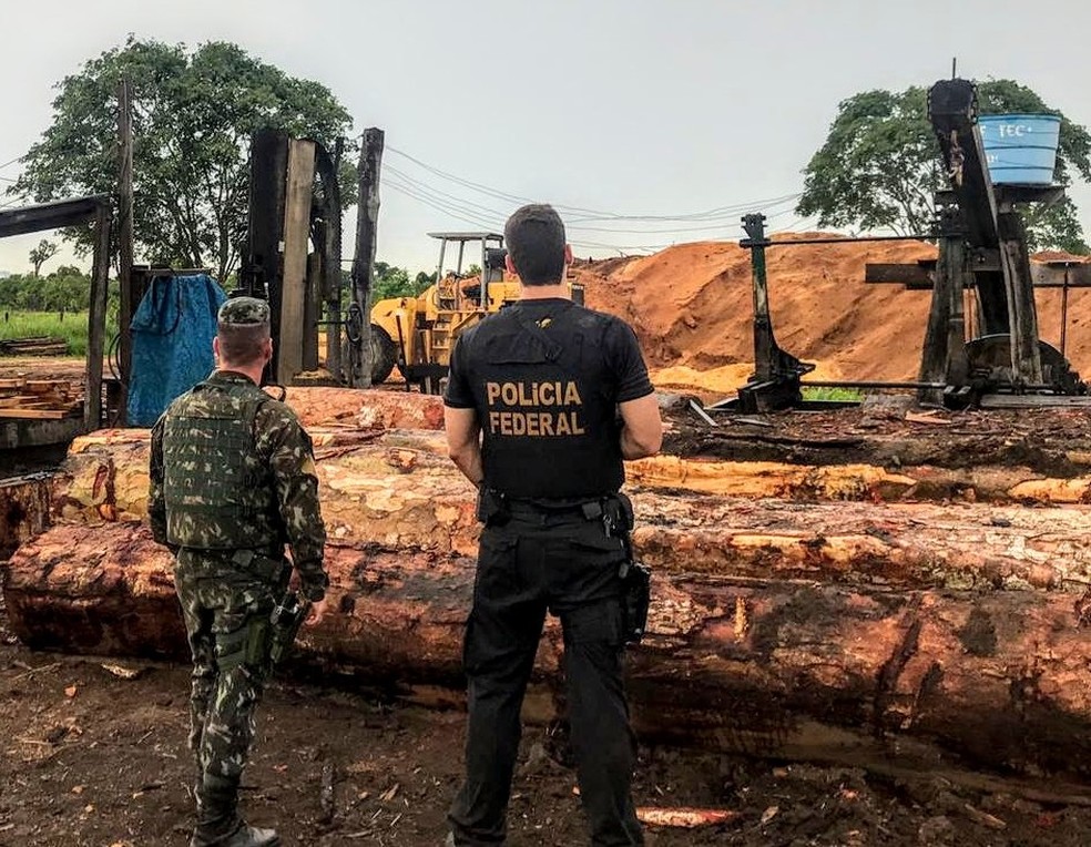 Operação policial mirou comércio ilegal de madeira na Amazônia (Foto: Divulgação)