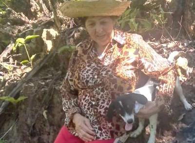 Cachorro que estava com idosa desaparecida volta para casa - romilda - niquelândia - voltou
