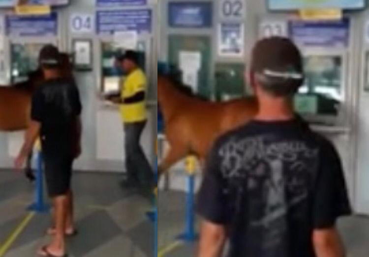 Cavalo invade lotérica e moradores brincam: 'Veio tirar o auxílio'