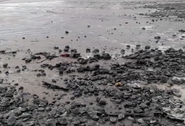 Bolas de lama surgem em praias de Peruíbe e intrigam moradores; vídeo
