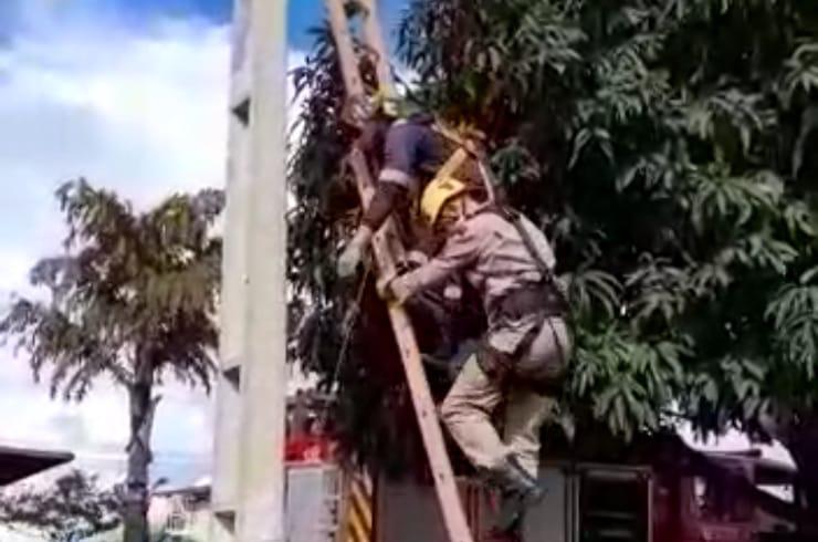Em Anápolis, trabalhador sofre descarga elétrica e fica preso em poste de cinco metros de altura