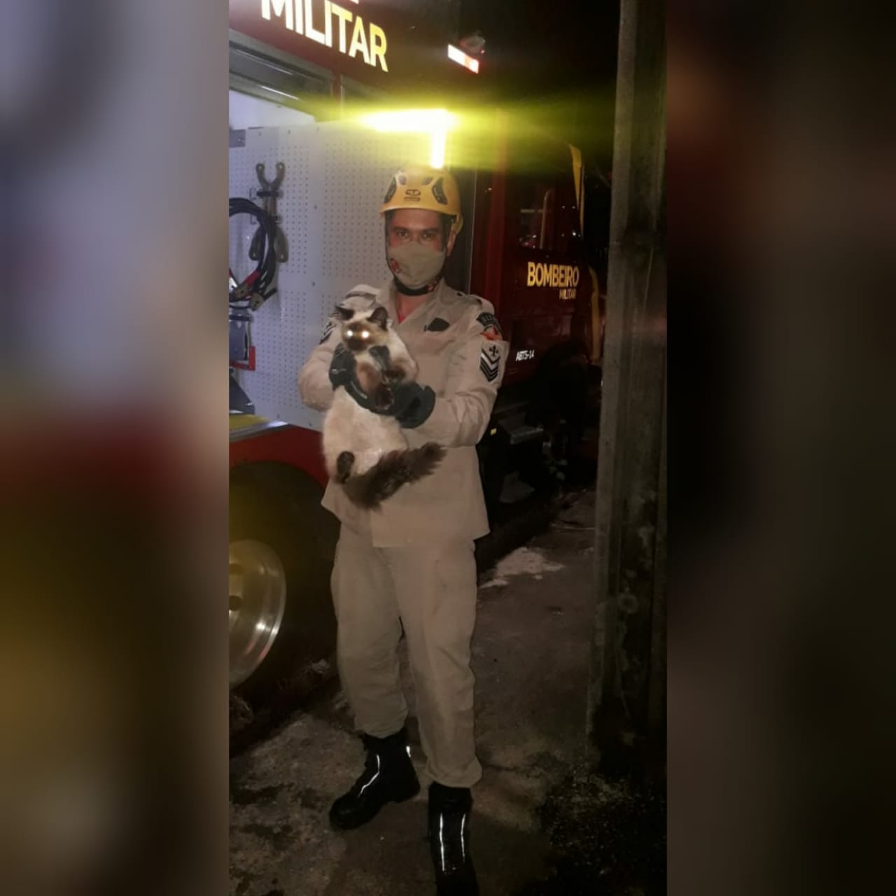 Bombeiros militares resgataram um gato preso na fiação de um poste na cidade de Anápolis, na noite da última sexta (26). (Foto: Corpo de Bombeiros)