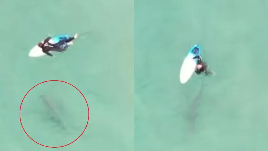 Surfista cai de prancha no momento em que tubarão passa sob ele na Austrália