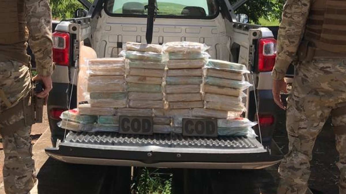 Cerca de 50 quilos de cocaína estavam escondidos entre veículos batidos, levados em um caminhão tipo cegonha