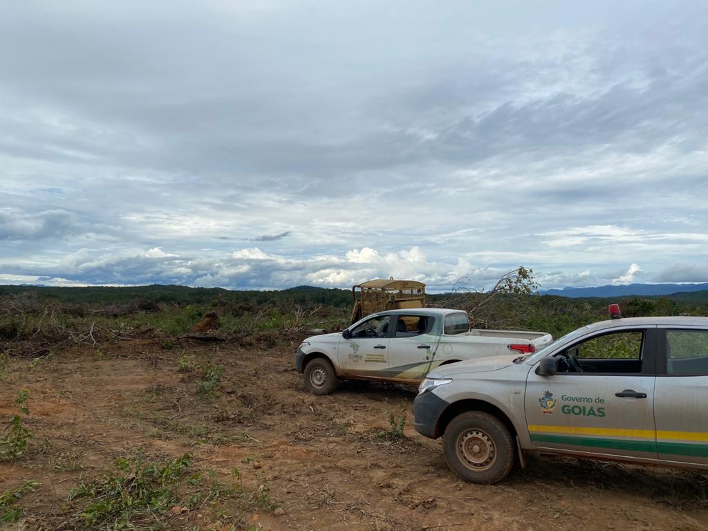 Operação contra desmatamento irregular resulta em mais de R$ 1,2 milhão em multas em Cavalcante - área -