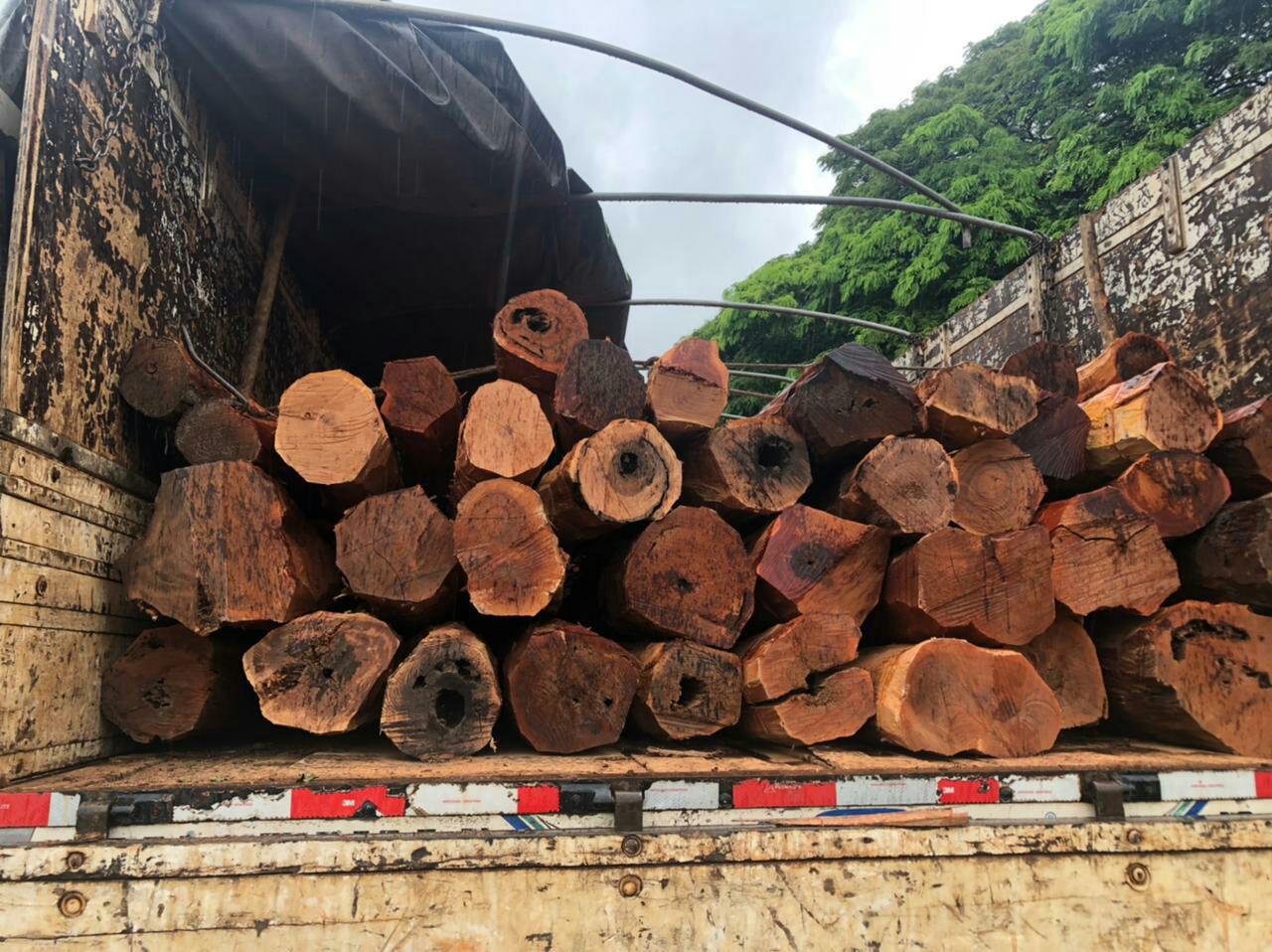 Carga ilegal de madeira, avaliada em R$200 mil, é apreendida em Quirinópolis