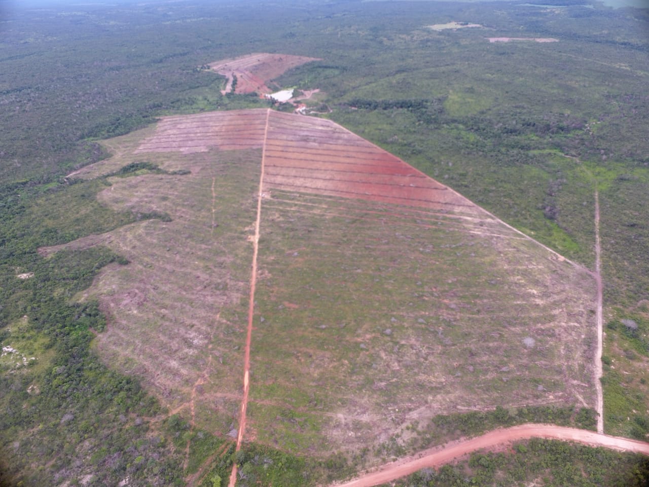 MP identifica mais de 148 hectares de desmatamento irregular em Goiás
