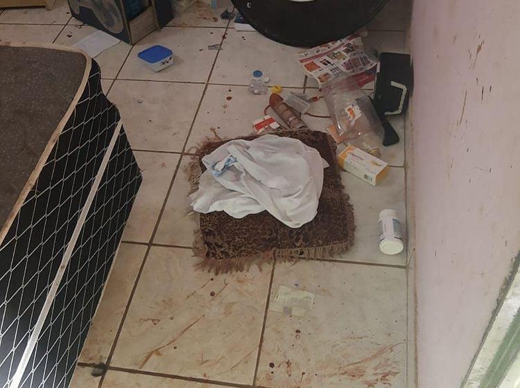 Polícia prende suspeito de matar mulher a socos em Novo Gama - companheira