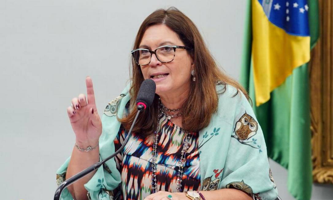 Bia Kicis, autora de PEC do voto impresso, atribui risco de derrota na Câmara à pressão de TSE e STF Bia Kicis adverte deputados da oposição de chamarem Bolsonaro de 'genocida'