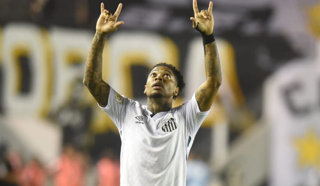 Marinho, atacante do Santos, é eleito o Rei da América (Foto: Santos FC)