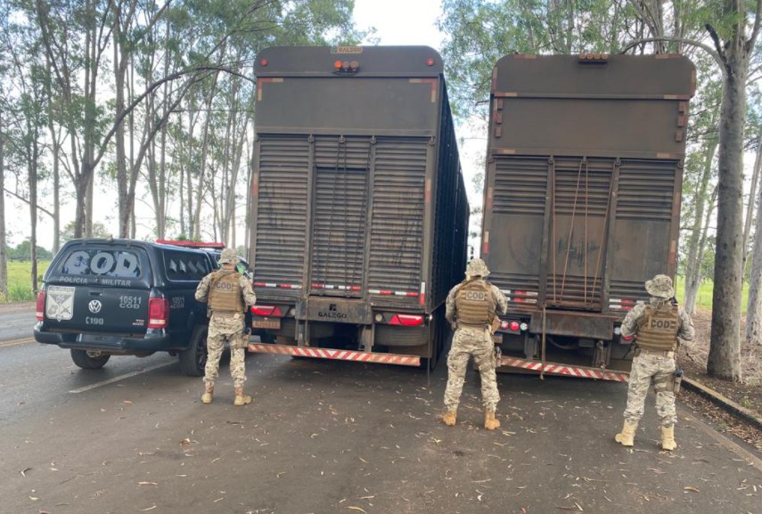 Polícia apreende carga com mais de 130 cabeças de gado avaliadas em R$ 500 mil