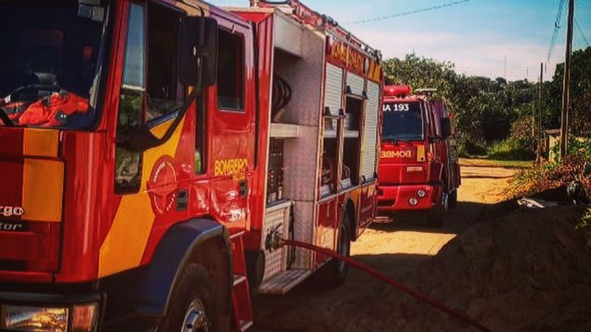 Segundo os bombeiros, foram necessárias duas viaturas para acabar com o incêndio (Foto: Divulgação/Bombeiros)