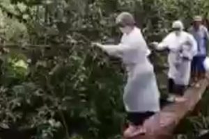 Uma enfermeira do município de Santana, a 20 km de Macapá (AP), teve que se equilibrar no tronco de uma árvore para vacinar a população da zona rural da comunidade de Massaranduba contra a covid-19 - Enfermeira se equilibra em tronco de árvore para vacinar população; assista