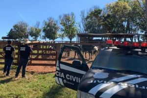 Após morte de fazendeiro, gado avaliado em R$ 40 mil é furtado em Morrinhos
