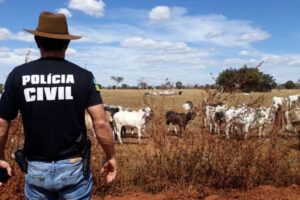 Preso suspeito de roubar 19 cabeças de gado, avaliados em R$ 100 mil, em Rubiataba. Proprietário da fazenda diz que foi amarrado