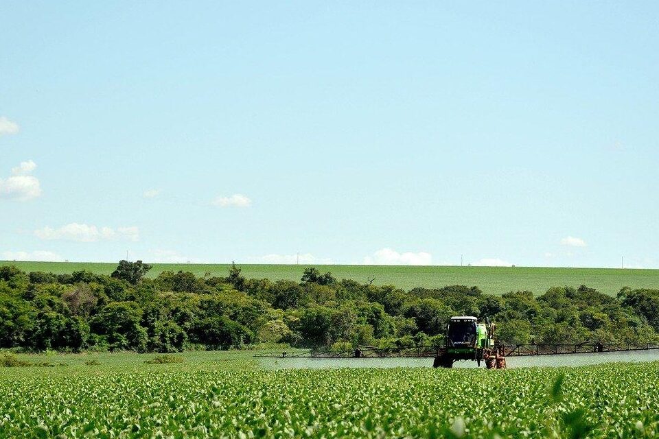 O glifosato é o agrotóxico mais popular do Brasil. Ele representa 62% do total de herbicidas usados no país e, em 2016, as vendas - Agrotóxico mais usado do Brasil está associado a 503 mortes infantis por ano, revela estudo
