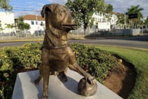 Cachorro é homenageado com estátua em SP; saiba motivo
